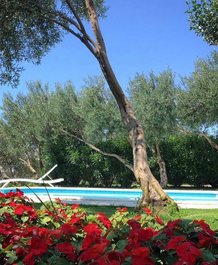 Villa Tamaris Makarska Zewnętrze zdjęcie